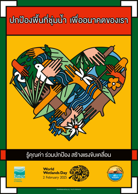 a55